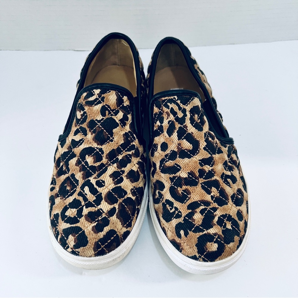 Steve Madden Animal Print Casual Sneakers